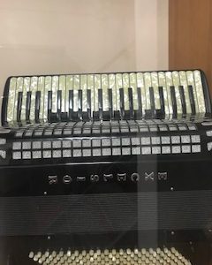 fisarmonica Excelsior 120 bassi